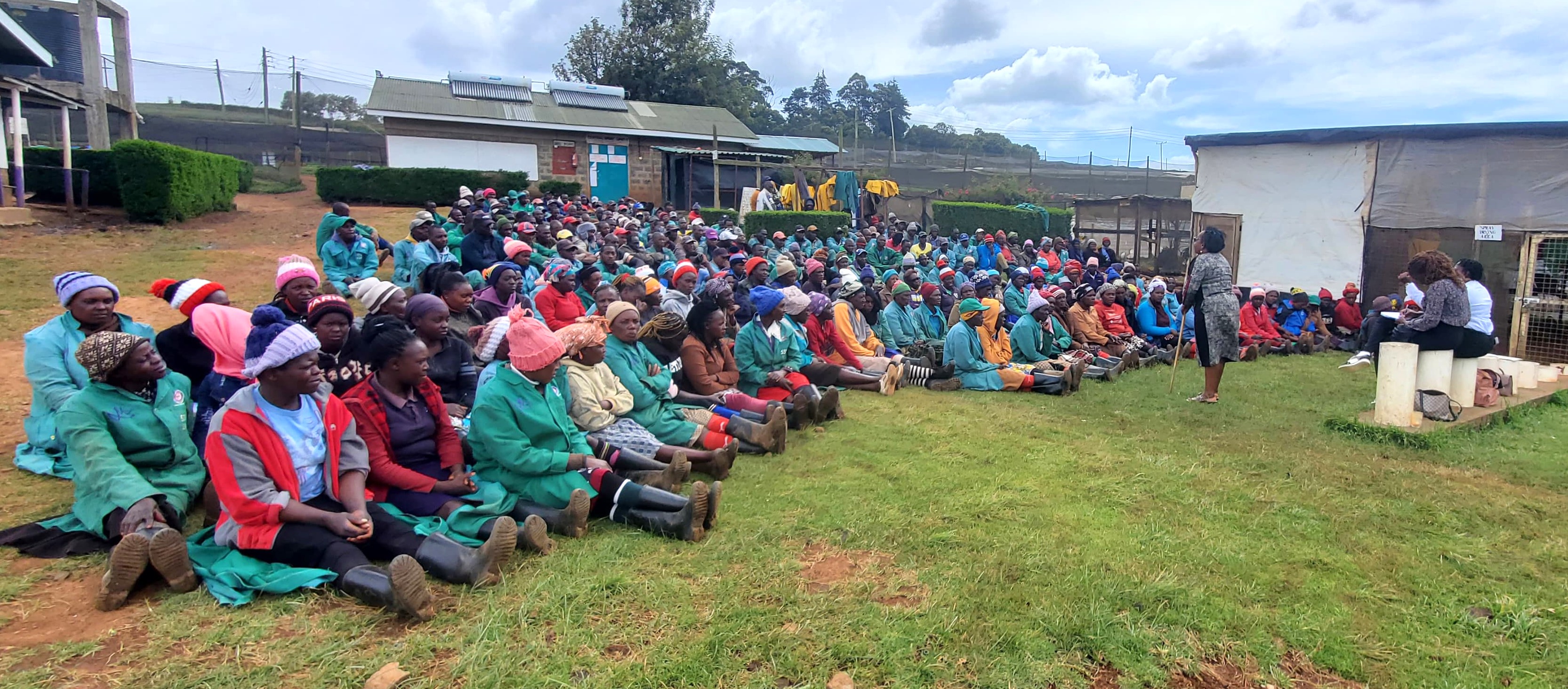 Gender Mainstreaming Training